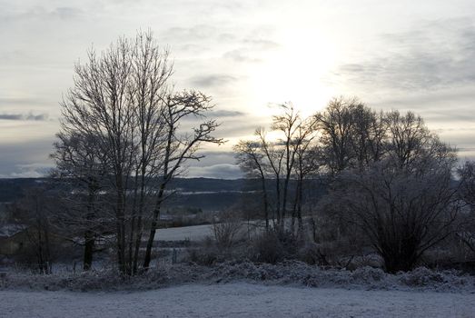 This is a landscape with some trees and fields covered by snow in winter