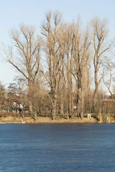 some trees near a frozen lake with a blue sky