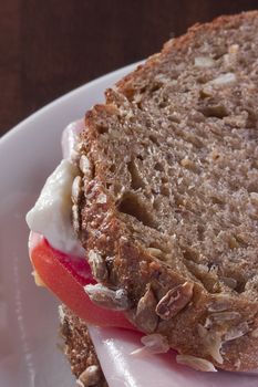 Close-up of a sandwich with turkey, tomato, and mayo.