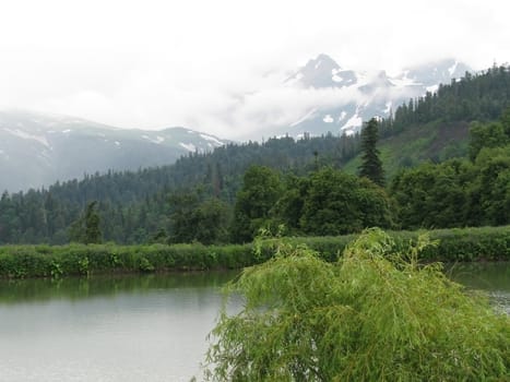 Mountains, wood, lake, water, tree, cloud, verdure, herb, glacier, snow, nature, beauty, landscape, type, background, Caucasus, relief, plants, landscape, top