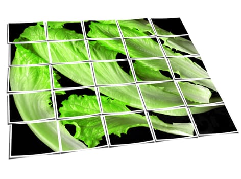 lettuce leaves on black background collage composition of multiple cut out images over white