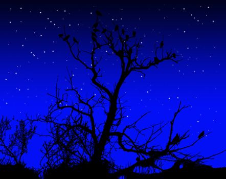 Illustration of birds on a silhouetted tree.