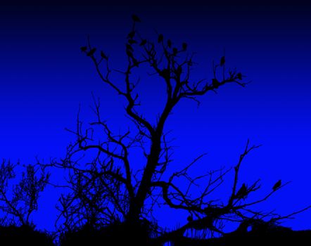 Illustration of birds on a silhouetted tree.