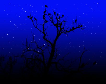Illustration of birds on a silhouetted tree.