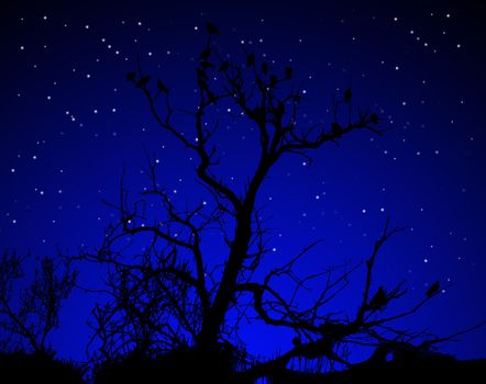 Illustration of birds on a silhouetted tree.