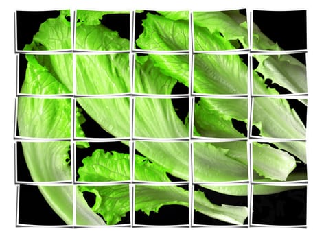 lettuce leaves on black background collage composition of multiple cut out images over white