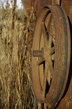 an old rusted belt driven gear wheel on a corn separator in warm afternoon sunlight