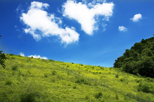 north mountains and green grass 