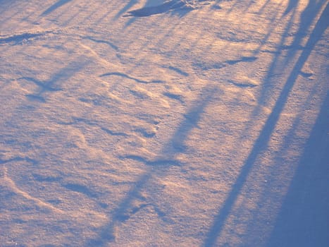 Morning light falls upon fresh snowfall on a chilly winter day.