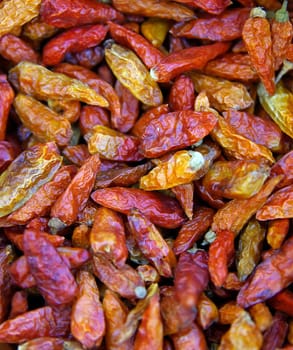 Dried Chillies