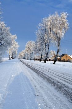 Road in snow - winter scene 