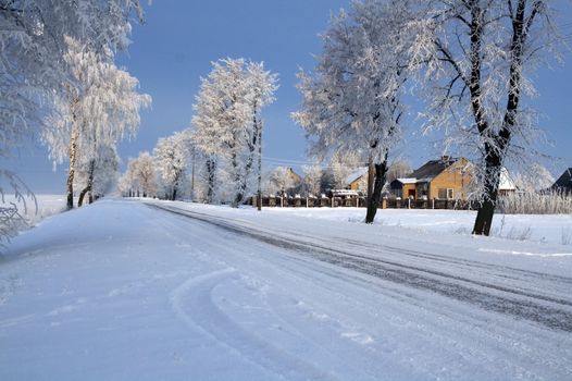 Road in snow - winter scene 