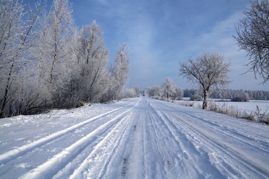 Road in snow - winter scene 