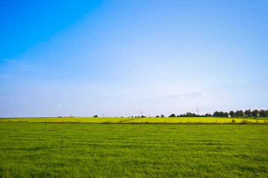 vivid summer pasture with blue clear sky
