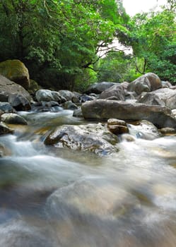 water in forest