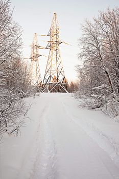 High-voltage support in winter wood. Frosty morning
