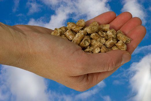 A hand holding pellets for heating, on a sky and clouds filled background.