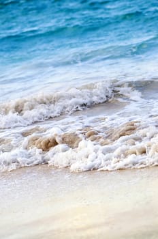 Tropical Caribbean sea waves breaking on the shore