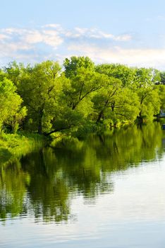 Reflection of green trees in calm water with blue sky