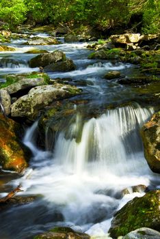 Water rushing among rocks in river rapids in Ontario Canada