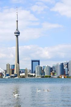 Toronto harbor skyline with CN Tower and skyscrapers