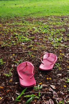 A pair of slippers are left on field of a relaxed day.