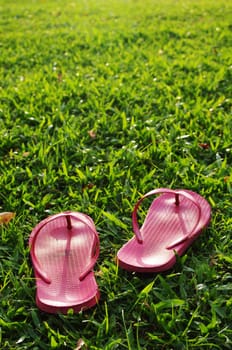 A pair of slippers are left on field of a relaxed day.