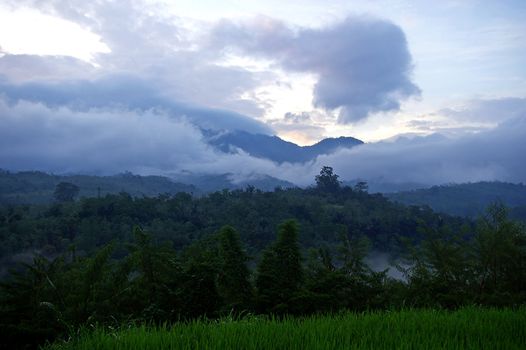 Rolling hills in the Eco-tourism village of Kiadan Pelaga, Bali, Indonesia.