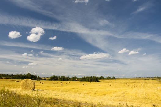 amazing golden hay bales on a perfect sunny day