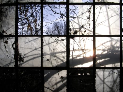 Old window in abandoned factory