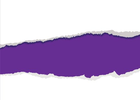 Purple background with torn strip and feathered edges copyspace