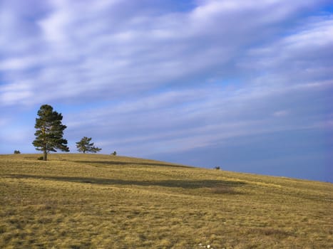 Sunset field and a tree in mountains