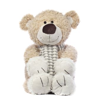 An adorable teddy bear that is happy. Isolated on a white background.