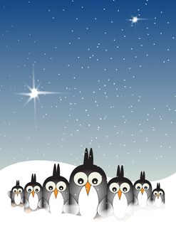 A Hand drawn Illustration of six stylized penguin birds set in a row looking forward. Set on a snowy background with a snowy blue sky with stars.