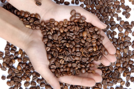 Female hands full of coffee beans over white background