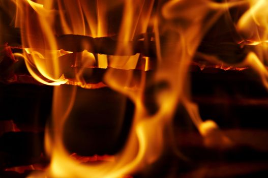 Shot of the fire and flames - detail