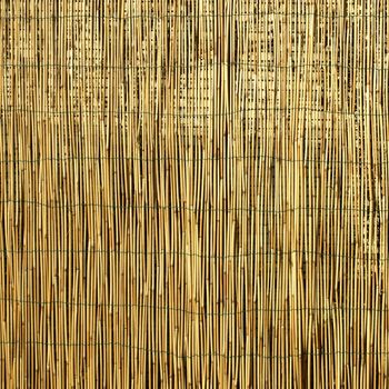 Bamboo fence or wall background