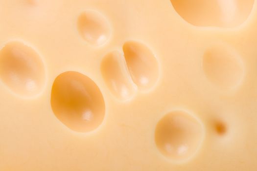 close-up cheese texture