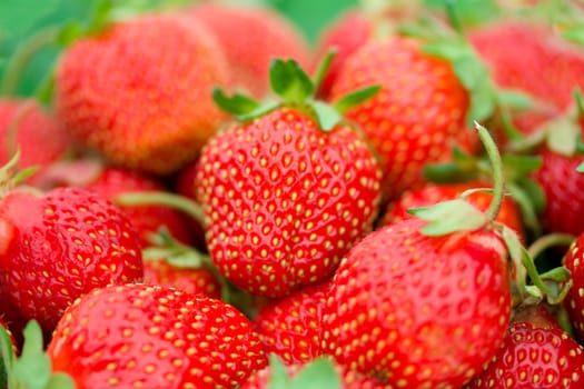 close-up heap of ripe strawberries