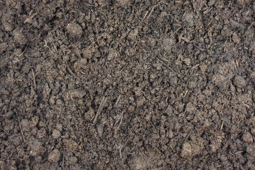 moist steer manure background with compost for gardening