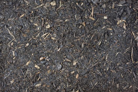 damp garden potting soil background with small wood chips and sticks