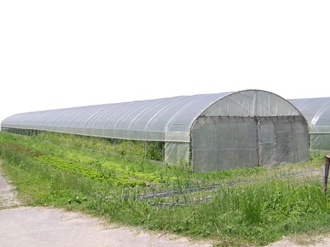 Greenhouse for cultivation of plants