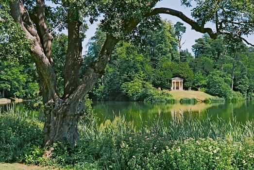 The lake and natural woodland at Bowood House in Wiltshire, England.