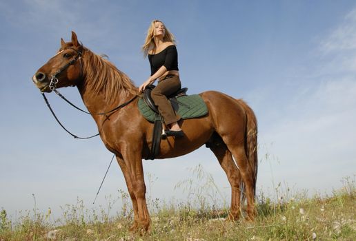 blond girl and her beautiful brown stallion in a field