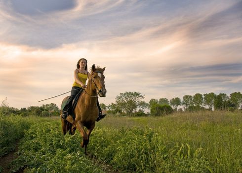 riding teenager and her brown stallion in a field