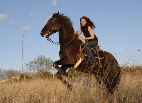 rearing dangerous stallion and young woman in a field
