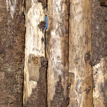 Old wood logs or plank board background