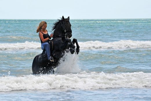 young woman on a rearing black stallion in the sea