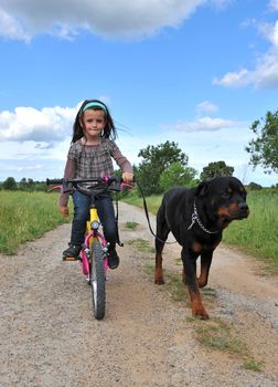 little girl with her purebred rottweiler on a bicycle