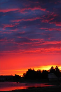 Early in the morning. A dawn. / Crimson- red sky and beams ascending the sun behind silhouettes of crones of trees.